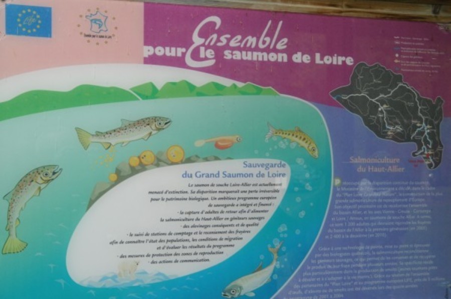 2 -29 septembre Aquaculture du saumon (1)
