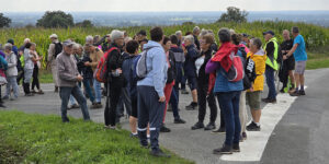 Lire la suite à propos de l’article Marche solidaire – Club Amitié Guignen