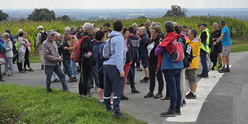 Lire la suite à propos de l’article Marche solidaire – Club Amitié Guignen