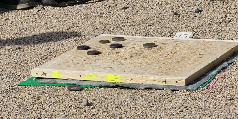 Concours de Palets à Bourg-des-Comptes