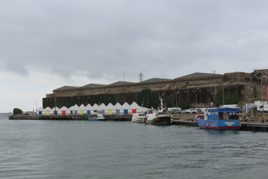 IMG_4287 (Moyenne)