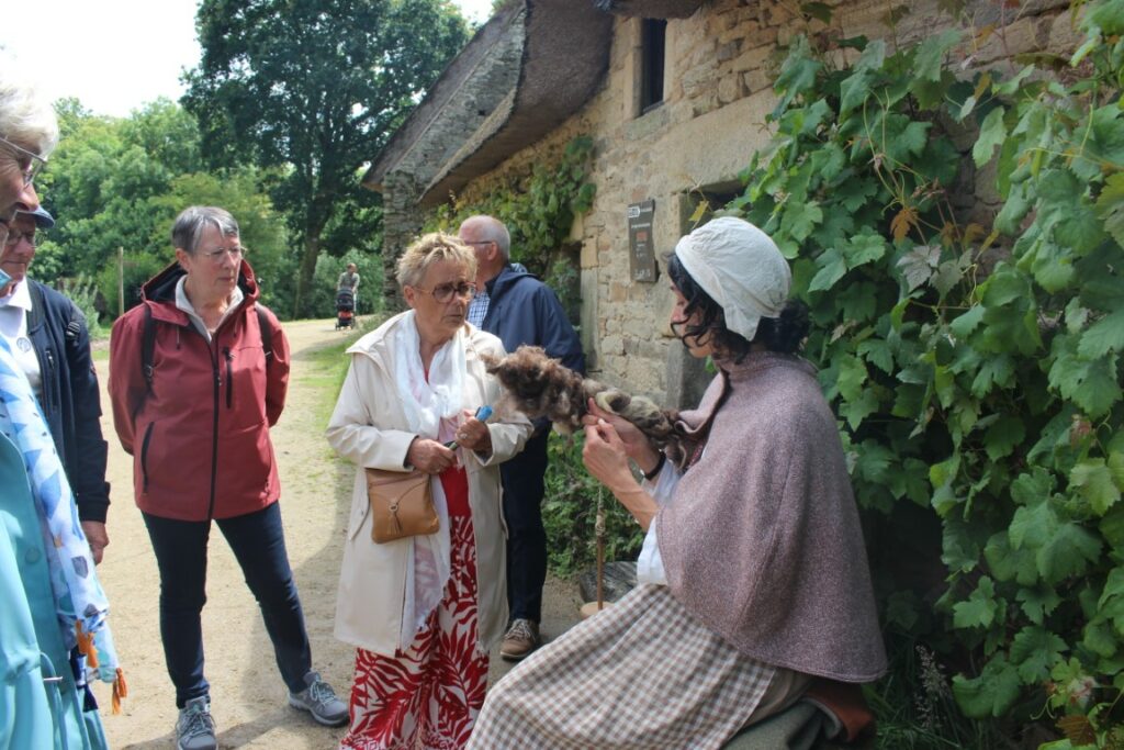 IMG_4334 (Moyenne)